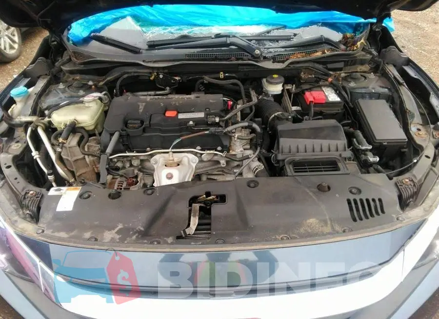 19XFC2F51HE074272 Photo# 10