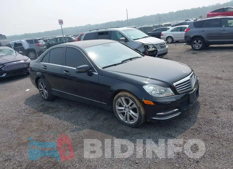 WDDGF8AB4DR247363 Photo# 1