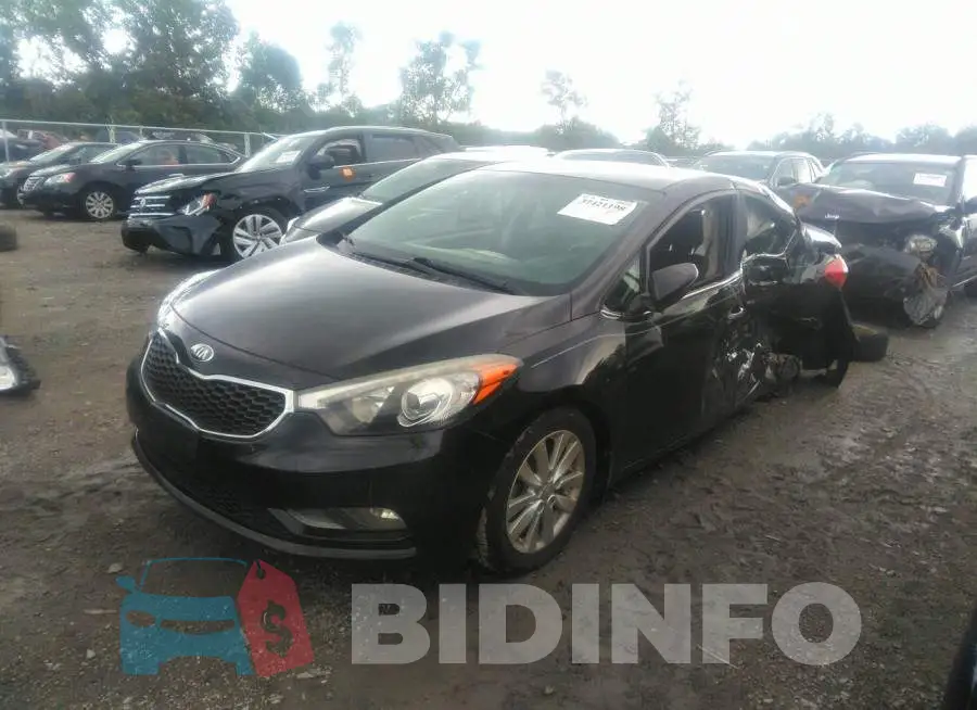 KNAFX4A83F5317376 Photo# 2