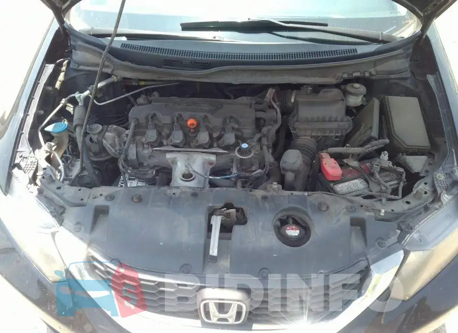 19XFB2F53DE022607 Photo# 10