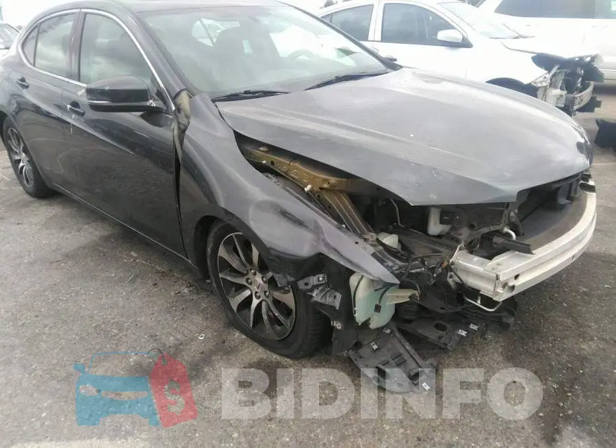 19UUB1F36FA026206 Photo# 6