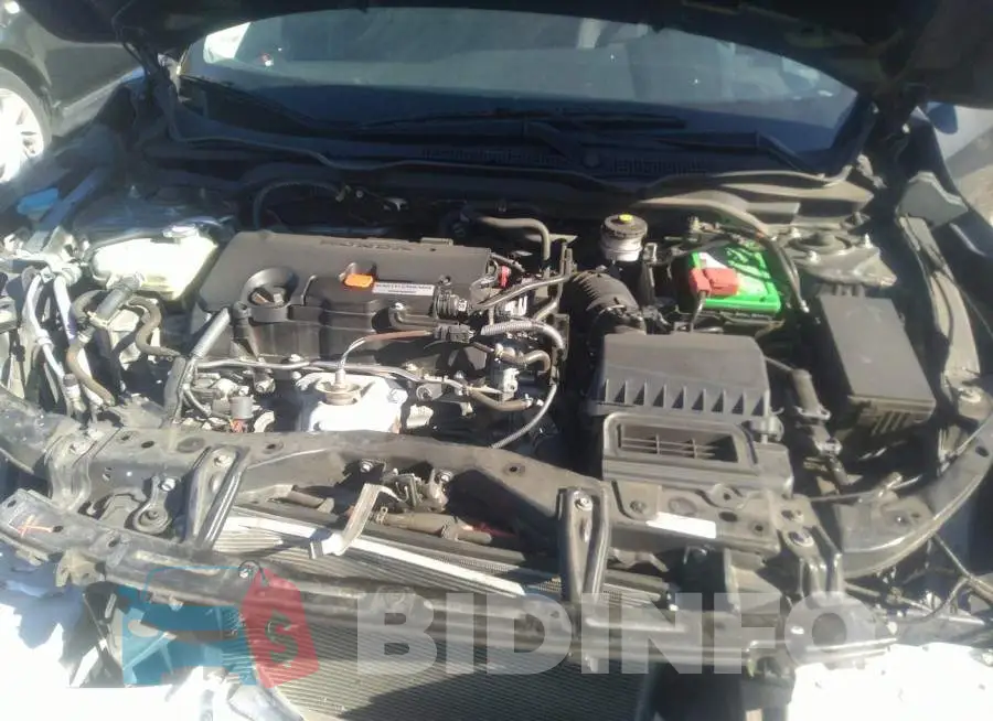 19XFC2F55GE230215 Photo# 10