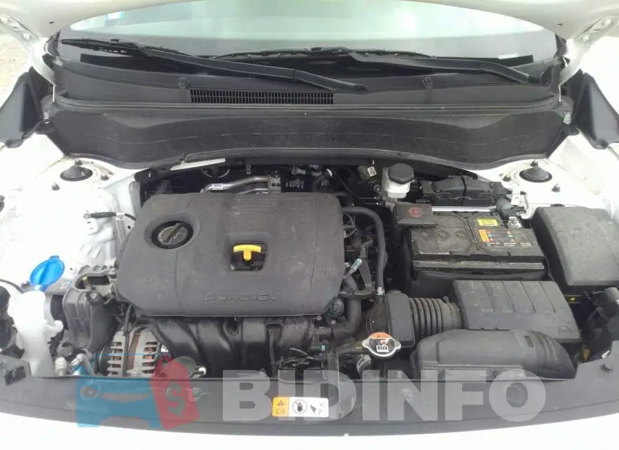 KNDEUCAA5M7171147 Photo# 10