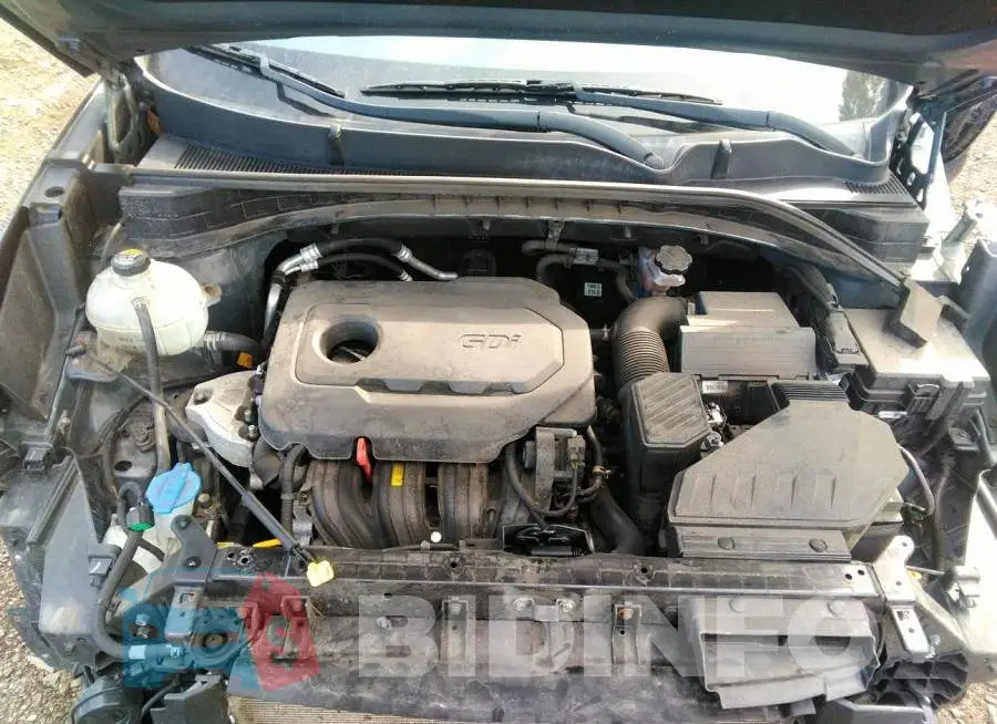 KNDPMCAC8L7651725 Photo# 10