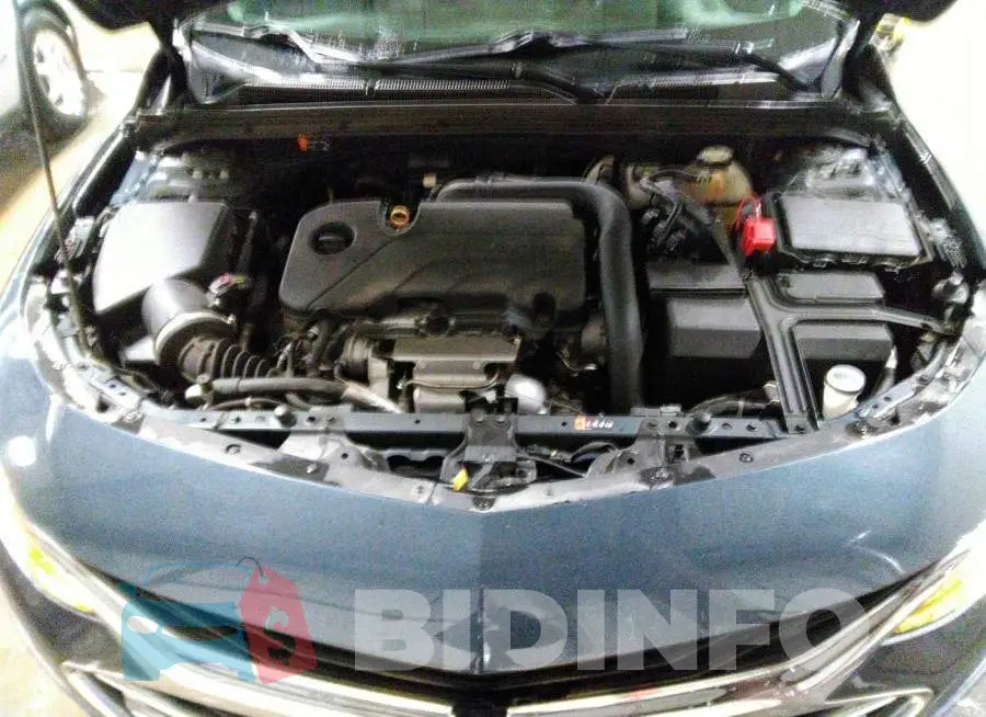 1G1ZD5ST7LF022653 Photo# 10