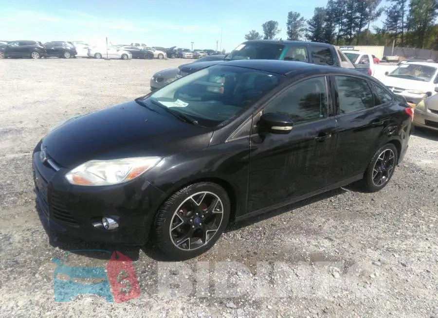 1FADP3F22EL262508 Photo# 2