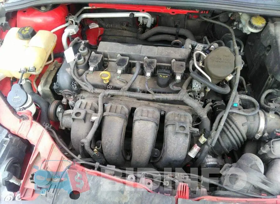 1FADP3F24FL276556 Photo# 10