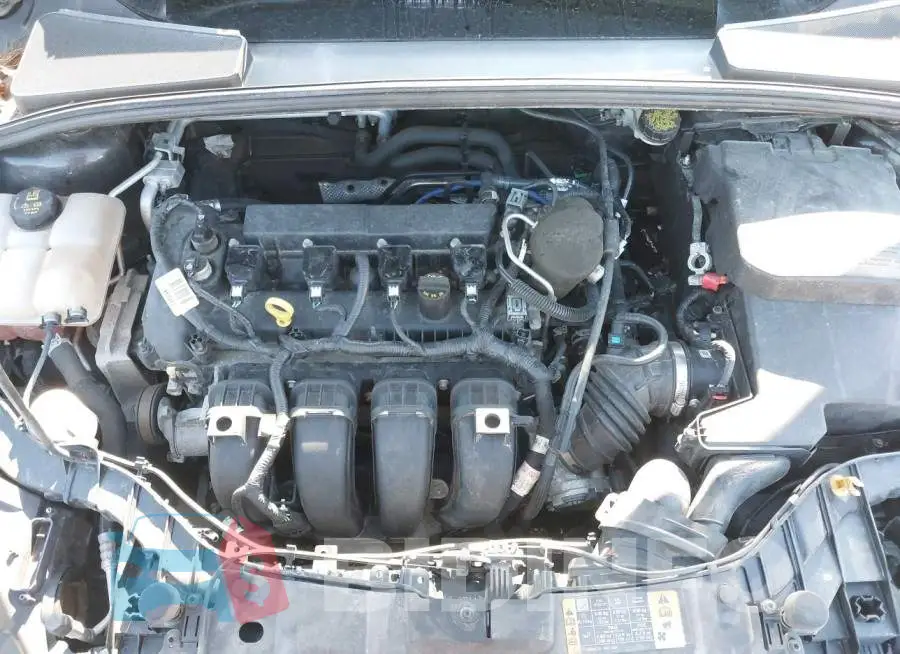 1FADP3F27FL339939 Photo# 10