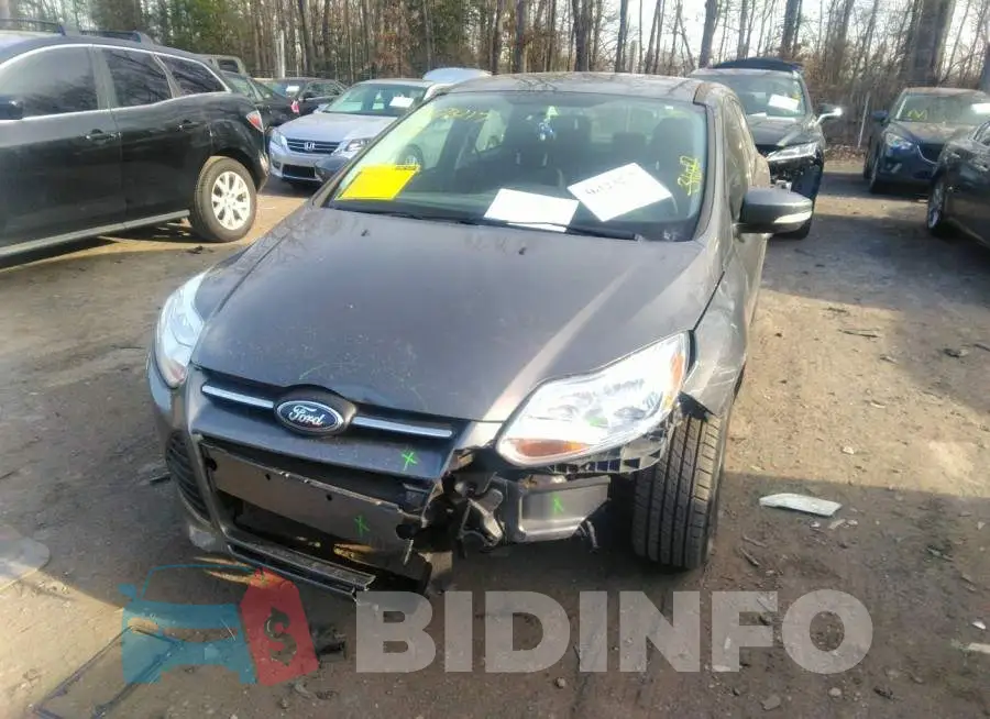 1FADP3F20DL241493 Photo# 6
