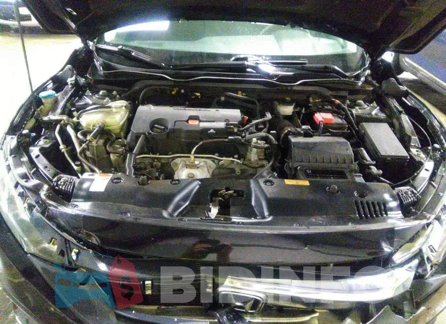 19XFC2F56HE065096 Photo# 10