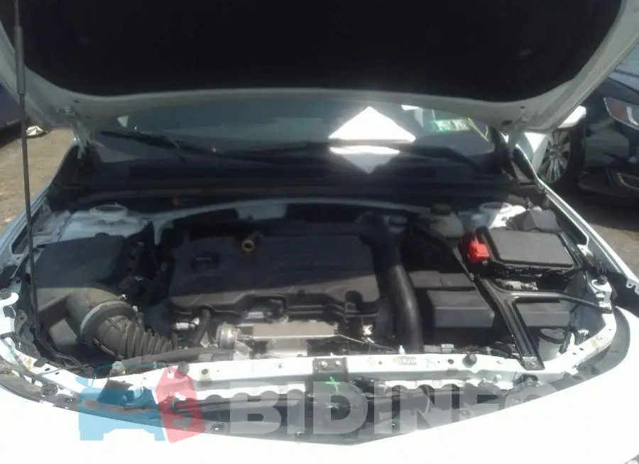 1G1ZE5ST2HF100583 Photo# 10