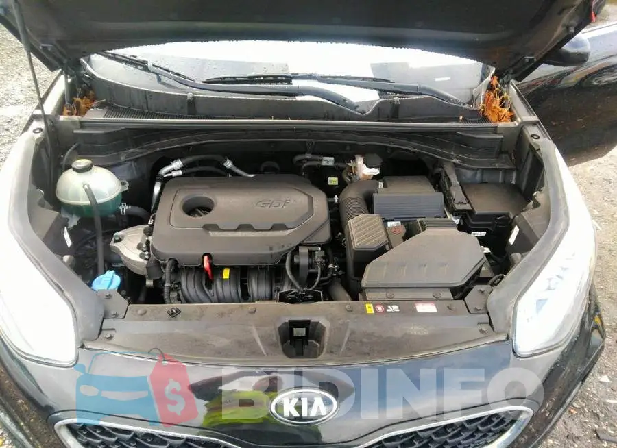 KNDPMCAC3M7852448 Photo# 10