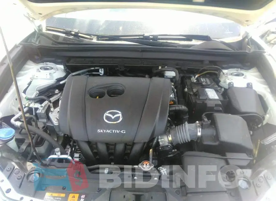 3MVDMBDL5MM317201 Photo# 10
