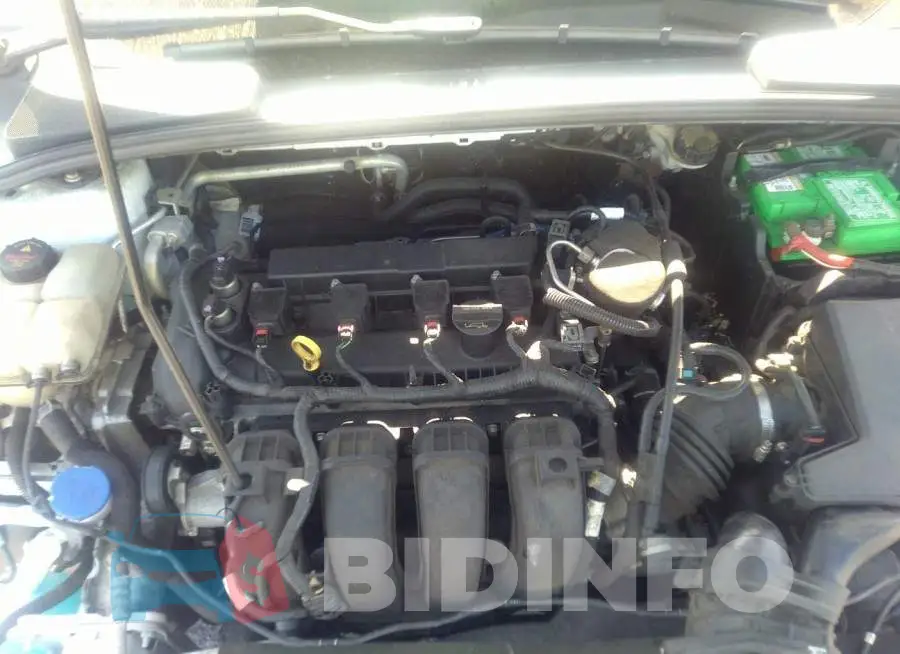 1FADP3F23EL271136 Photo# 10