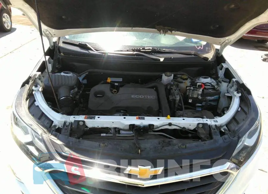 2GNAX5EV6L6222563 Photo# 10
