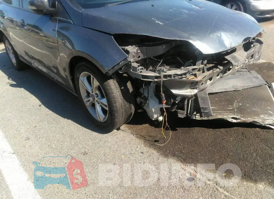 1FADP3F2XDL301893 Photo# 6