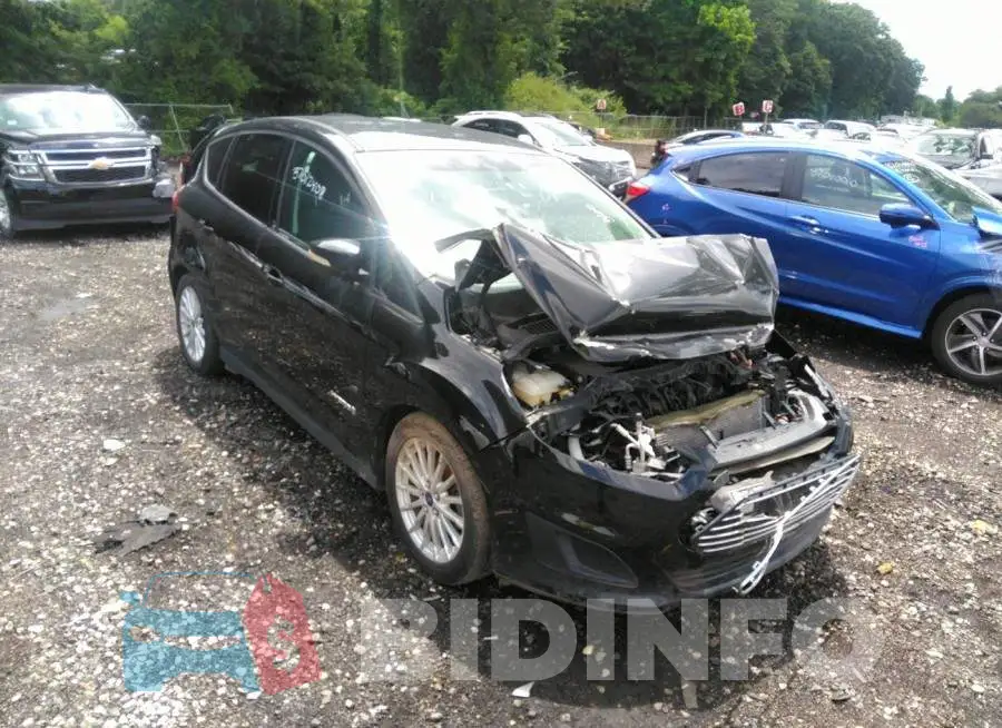 1FADP5AU6FL107708 Photo# 1