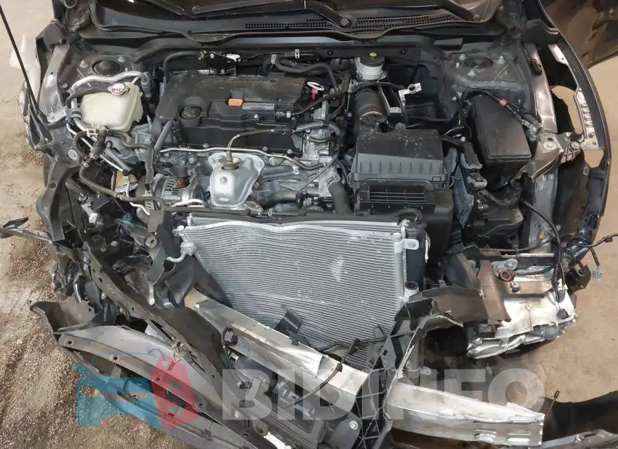 2HGFC2F67KH500455 Photo# 10