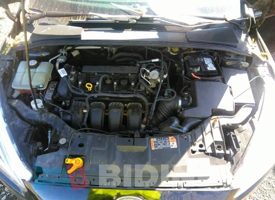 1FADP3F24GL385715 Photo# 10