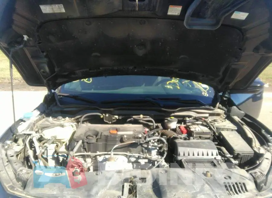 19XFC2F85LE029791 Photo# 10