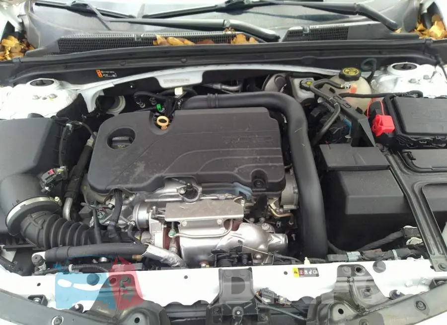 1G1ZB5ST2LF152149 Photo# 10