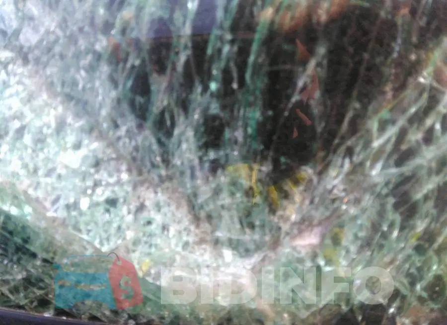 2G1FB1E32D9125292 Photo# 9