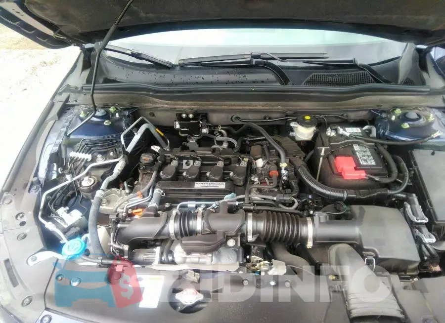 1HGCV1F13KA141616 Photo# 10