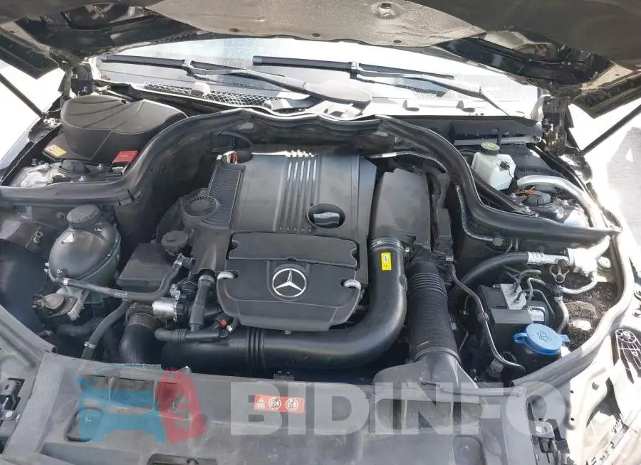 WDDGF4HB8DR257943 Photo# 10