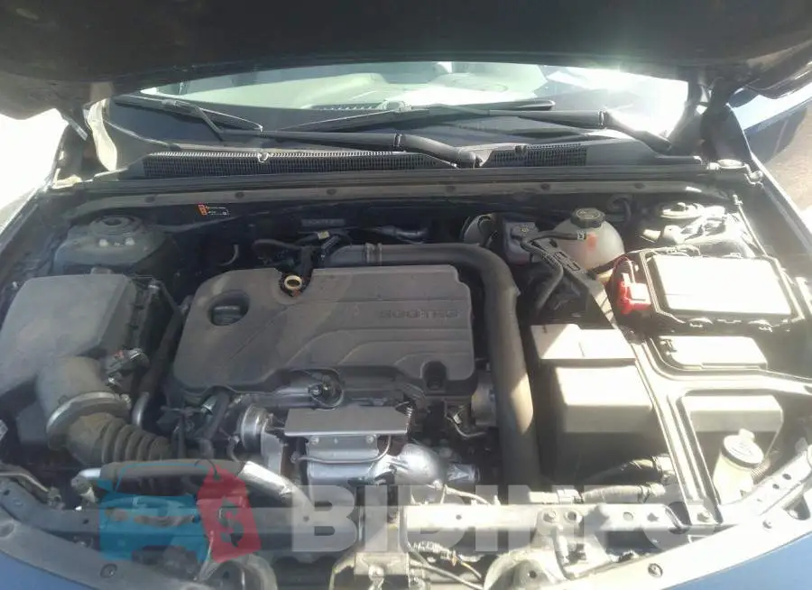 1G1ZD5ST8MF025448 Photo# 10
