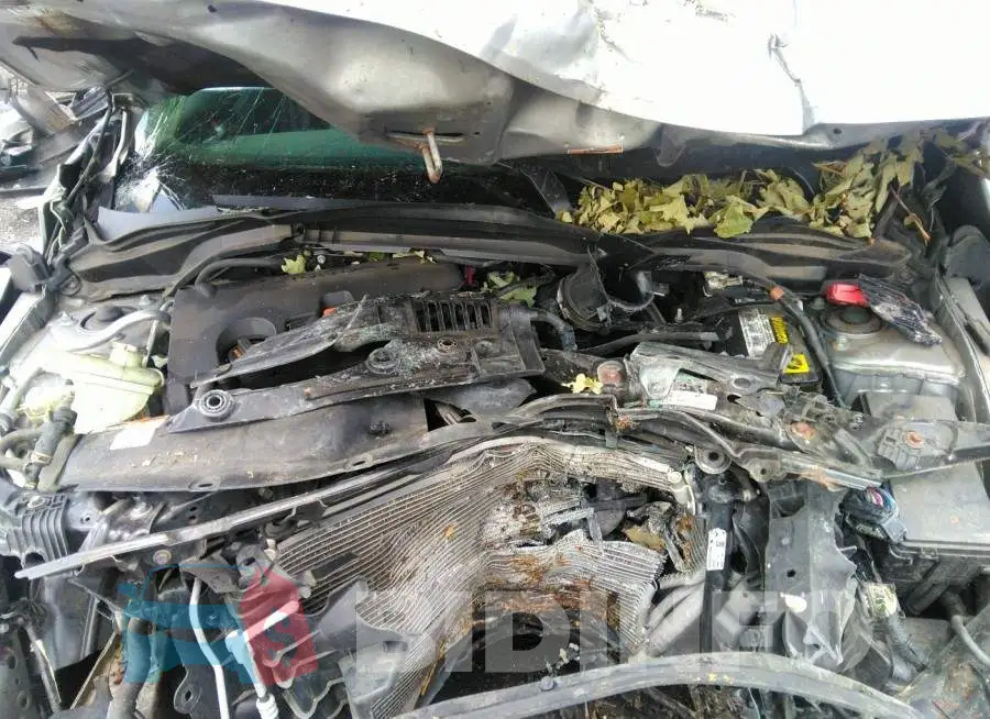19XFC2F57GE241863 Photo# 10