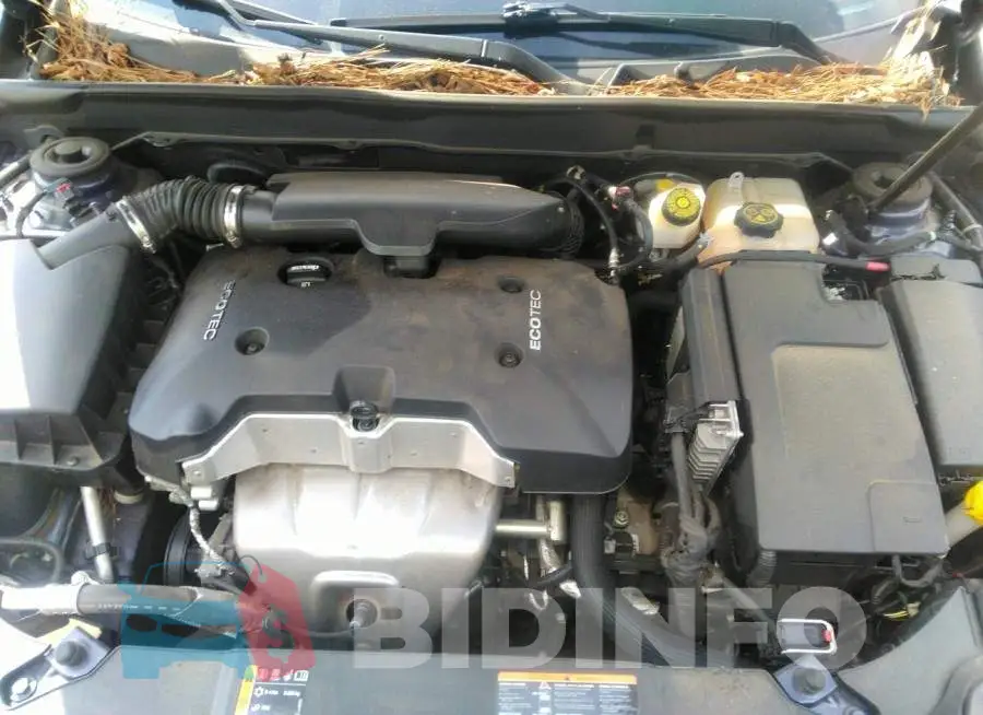 1G11B5SLXFF271004 Photo# 10