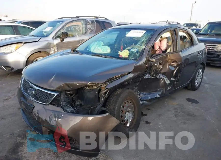 KNAFU4A21D5719513 Photo# 2