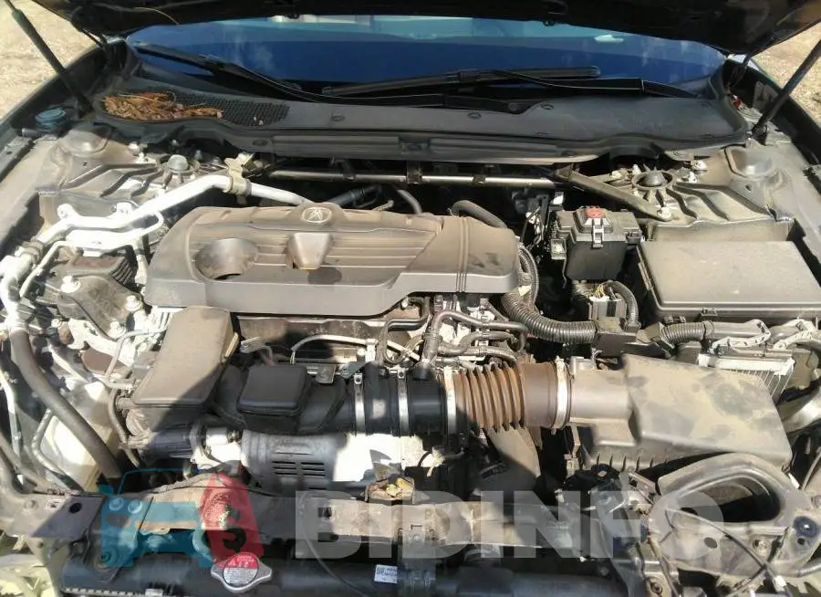 19UUB5F43MA006217 Photo# 10