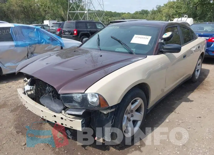 2C3CDXAT8EH205835 Photo# 2