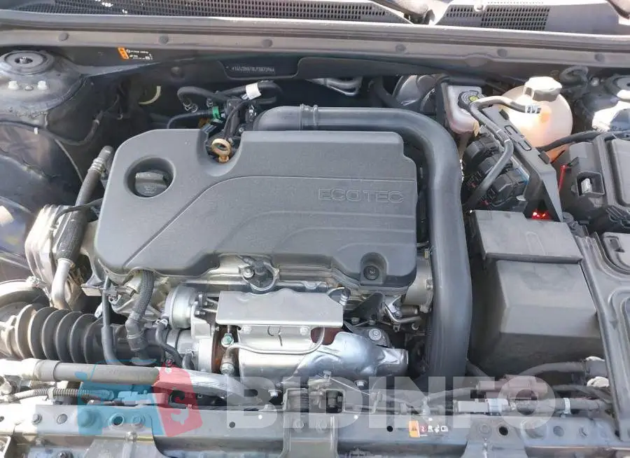 1G1ZD5ST8LF087396 Photo# 10