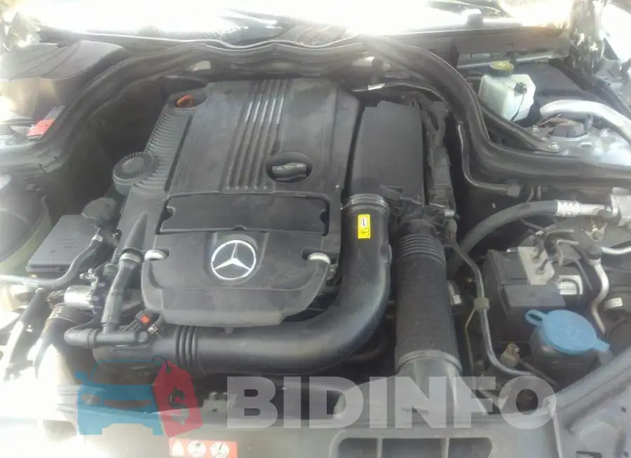 WDDGF4HB5DR274554 Photo# 10