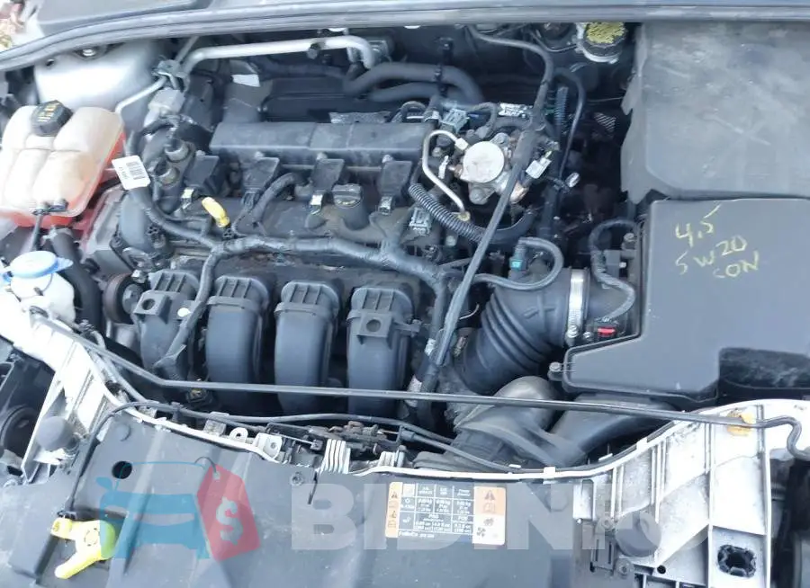 1FADP3F22GL381081 Photo# 10