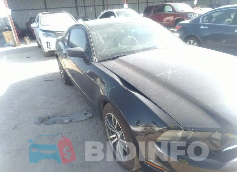 1ZVBP8AMXE5204543 Photo# 6