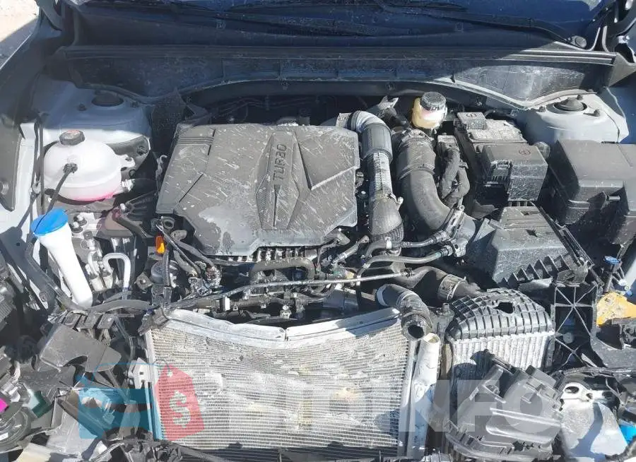 5XYRKDLF1PG200964 Photo# 10