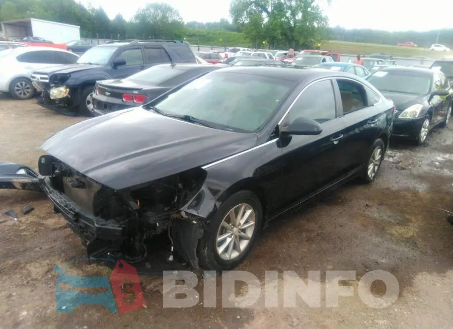 5NPE24AF7KH771412 Photo# 2