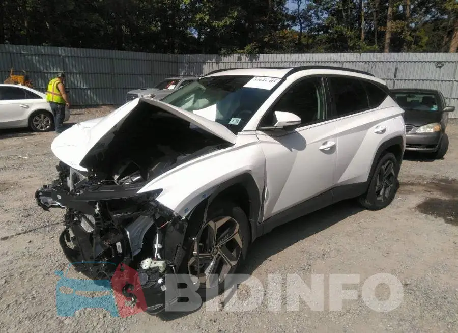 5NMJFCAEXPH232632 Photo# 2