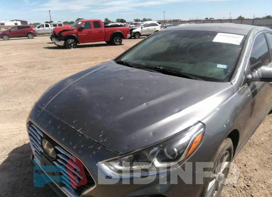 5NPE24AF5KH781114 Photo# 6