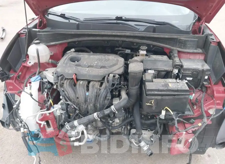 KNDPMCAC8M7884098 Photo# 10