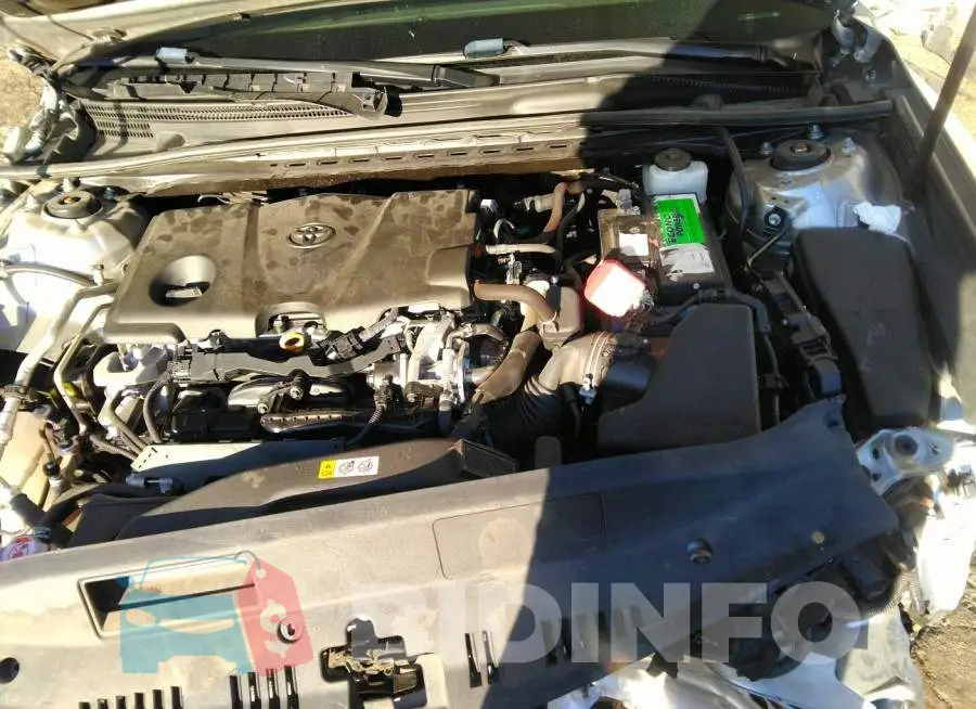 4T1M11AK6LU864161 Photo# 10