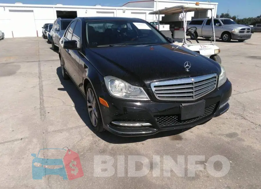 WDDGF8AB1DR252441 Photo# 6