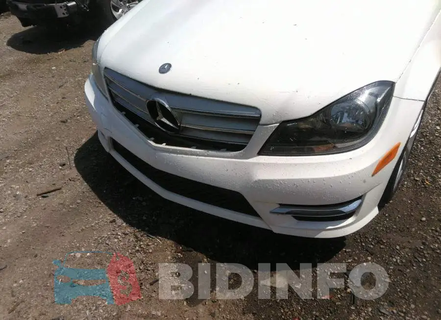 WDDGF8AB2DR244199 Photo# 6