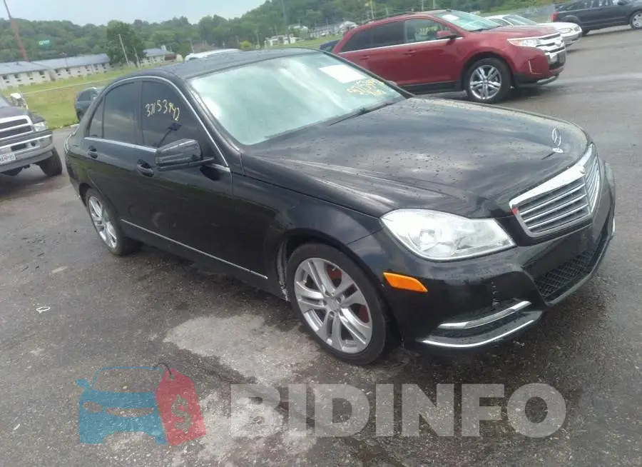 WDDGF8AB4DR251168 Photo# 1