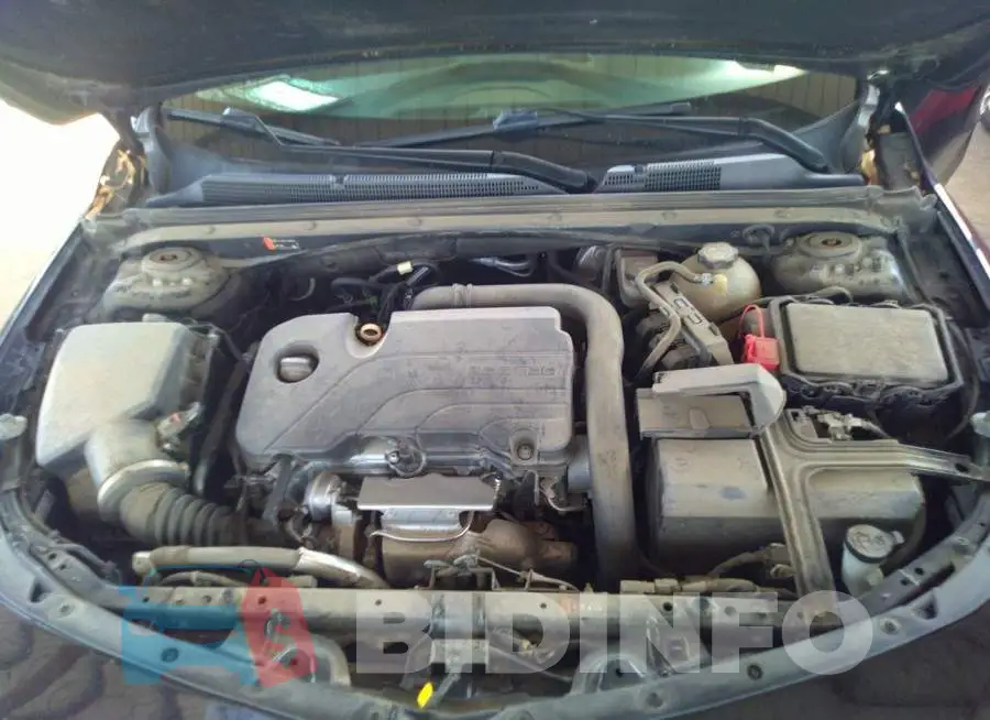 1G1ZD5ST0KF141143 Photo# 10