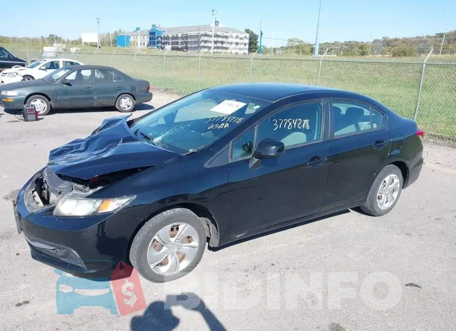 19XFB2F55DE059822 Photo# 2