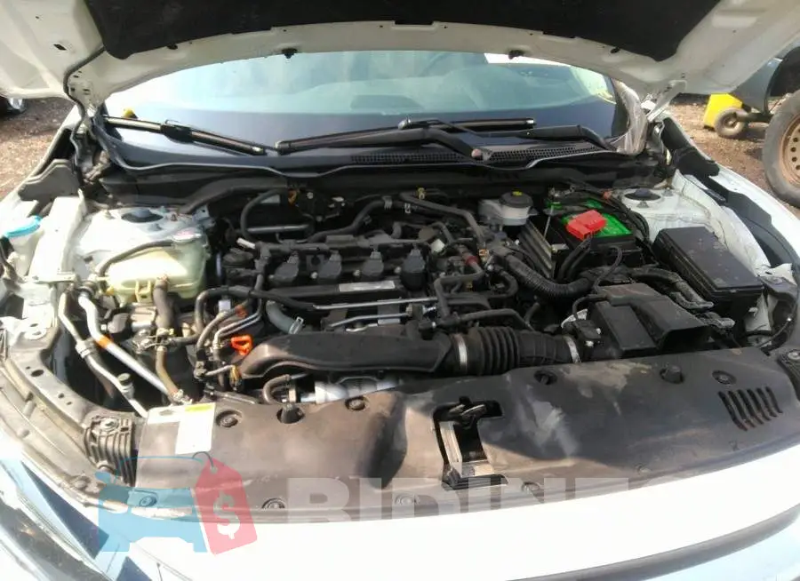 19XFC1F95HE001113 Photo# 10